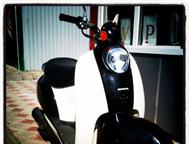 :   HONDA CREA SCOOPY,  :)  HONDA CREA SCOOPY AF 55  -  4-       