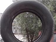          14 MISHLEN.   .,  -  