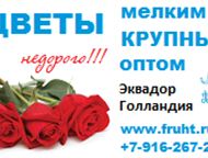 :     ,     , , .     1  (200-300 ).    -  