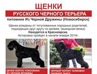 :      !     ,  19. 11. 13. !     :     