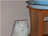      ,  ,     ,  ,    ,   .    ,  -  