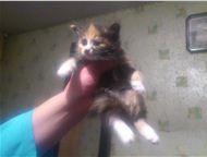 ,    ,      !  1 .    ,  .,  -  
