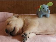 ���� 7 ��������� �������� ���������� � ������ �������� � ��� ���� �������� ������� �����. ������ ����������� ����������. ���� ������ ����� � ���, �� �, ��������� - ������� �����,  ������