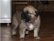 ���������: ����� ������������ ������� (�������) � ����������� ��� ������ ������� 8 � 13 ������� 2014 �. �� ��������� ��������� ������, ���������� � ��������� ���