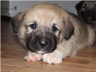 ���������: ����� ������������ ������� (�������) � ����������� ��� ������ ������� 8 � 13 ������� 2014 �. �� ��������� ��������� ������, ���������� � ��������� ���