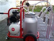 �������� �������� 1) �������� ������� � �������� ��� ����� ������� (200 �/���) �� 10-12 ����� � ���, 0, 55 ���, 1425 ��/���, 220�-50 ��, ��������� 40/, ��������� - ������