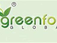 GreenFoot Global    ,   EnviroTabs        20-30%     ,  - 