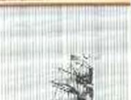 :    12058 - ,      !        -     