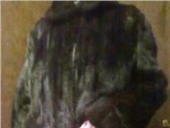    , , , ,     .    102 .  46-48 (L).  -, ,  -  