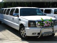 :        LIMO, MD    ,             