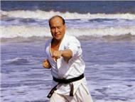                 :, kyokushinkai karate, , ,  -    