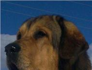 ������: ��������� ����� ���������� �������, ���������� ������ ���������� ������� �� ������������ ��������� � ����� ��������� ����������� �. �. 30. 05. 2013 �.