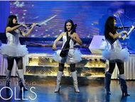 :    Violin group Dolls,         Violin Group DOLLS     ,  