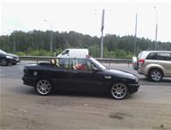 :   Bertone      Bertone ,     1996 ,        