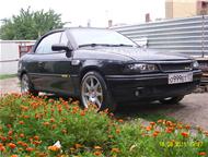   Bertone      Bertone ,     1996 ,        ,  -    