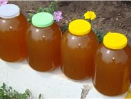 Москва: Натуральный мёд частника, Гарантированно! Натуральный мед (разнотравье и лесной) с собственной частной пасеки, находящейся в экологически чистом район