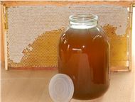 Москва: Натуральный мёд частника, Гарантированно! Натуральный мед (разнотравье и лесной) с собственной частной пасеки, находящейся в экологически чистом район