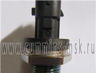    3974092  5260246 Bosch 0281002851   Cummins ISF 3, 8, ISBe       ,  - 