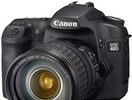 : Canon 40D  Canon 40D     .  ,   ,  .       