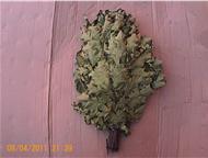              20000   40 .         ,  - 