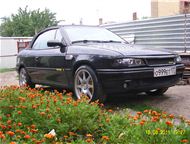 :   Bertone      Bertone ,     1996 ,        