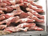       179 \,  ,     (1 , , 110+ ).   20  ,,  - 