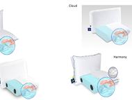 -  Sleep Professor          .,  - 