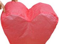 :            ,  2009     ,