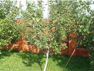 :  -, ,    16   .         .   480 ,  