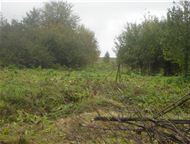 :          20     .  (   ). 