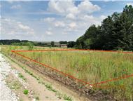   8      100       8   .   -  ,  -   