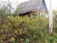    (   ) 1    ,    ,        . . 1,  -   