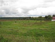         10 ,   - . .  ,    ,  -   