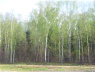 :   6   ,    6   .   ,      4-  