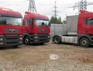 :   MAN TGA 18, 480, 2008,    MAN TGA 18. 480, 2008. , 480 . . ,    2012 ,  ,  XLX, 2 