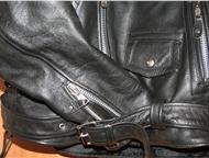 :  , first classic leather : 5052 (XL)   , /,   . , ,  !   