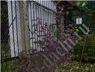 :   Diable DOr, Aurea :     - Physocarpus opulifolius Diable DOr   1, 2-1, 7;  