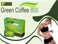  Green Coffee 800  1000        Green Coffee 800  Green Coffee 1000.    ,  - , 