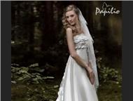               Papilio     ,  -  