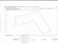   19,41    65        19, 41    ,  ,  -   