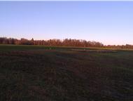          15     .   .  50:19:0050305:92,  -   