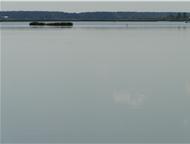 :      ,  ,    10 .     ,  - . , 150 .  