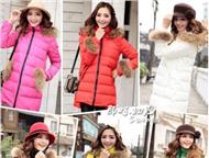 :         miss fofo        .       6300        650