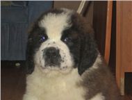 ������: ���������� ���-������ �� ���������� ��������� ��������� 2 �� ���������� �������� �������� ������. ������������ ������ � �����������. �������� ��������