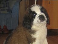 ������: ���������� ���-������ �� ���������� ��������� ��������� 2 �� ���������� �������� �������� ������. ������������ ������ � �����������. �������� ��������