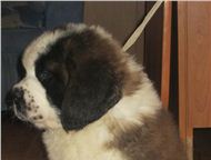 ������: ���������� ���-������ �� ���������� ��������� ��������� 2 �� ���������� �������� �������� ������. ������������ ������ � �����������. �������� ��������