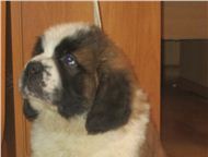 ������: ���������� ���-������ �� ���������� ��������� ��������� 2 �� ���������� �������� �������� ������. ������������ ������ � �����������. �������� ��������