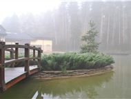 :   ,  - ,    -  ,   ( 