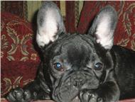 :       VALENS :  ,  9. 10. 2011 . , - . 
