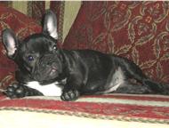:       VALENS :  ,  9. 10. 2011 . , - . 